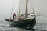 whw11 sun 2798